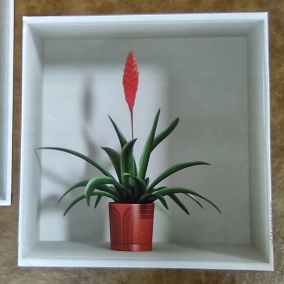 Wall Decals Set of 3 Shadowbox Tropical Plants - Picture 2 of 10